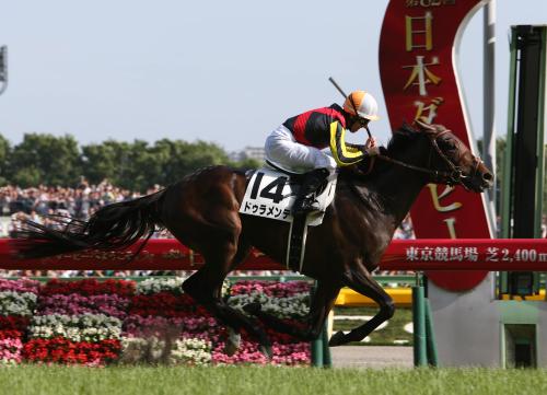 JRA 競馬 二冠馬 ドゥラメンテ 第83回 日本ダービー クッション