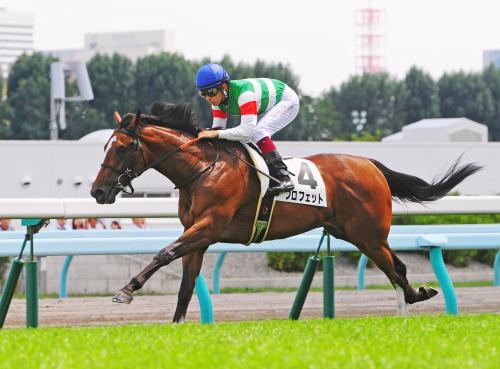 札幌５Ｒ新馬戦、人気に応えて優勝したプロフェット