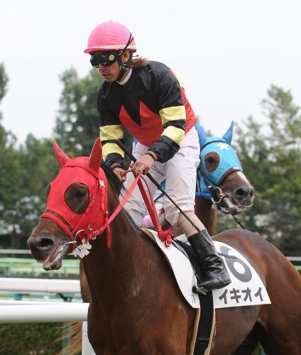 ６日の札幌競馬７Ｒイキオイでラストレースに騎乗した藤田伸二騎手