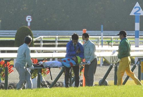 ＜京都競馬１１Ｒ・スワンステークス＞担架で運ばれるローブティサージュに騎乗して落馬した福永