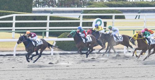 ＜京都４Ｒ新馬戦＞後続を４馬身差離し勝利した酒井騎手騎乗のエレメンツ（左）