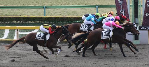 東京３Ｒ新馬戦、同着でレースを終えたサクラエンパイア（１３番）とゴールデンブレイヴ（手前から２頭目・１６番）