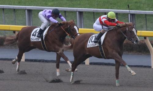 東京３Ｒ新馬戦を制したダノンバウンド（右）