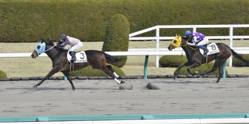 京都４Ｒ新馬戦で勝利したデムーロ騎手騎乗のダンツペンダント（左）