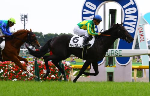 東京５Ｒ新馬戦を快勝したサトノクロノス