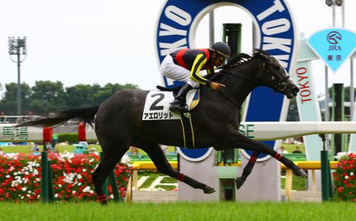 東京６Ｒ新馬戦で勝利したアエロリット