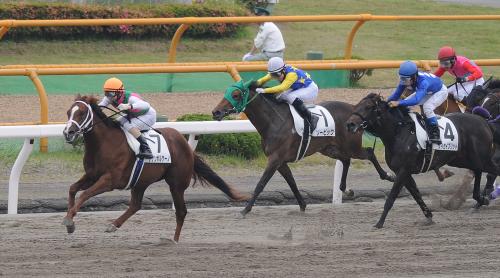 函館競馬・新馬戦（ダート１０００）直線で抜け出したサザンボルケーノ