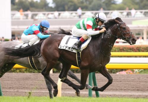 東京５Ｒ新馬戦を制したレイデオロ