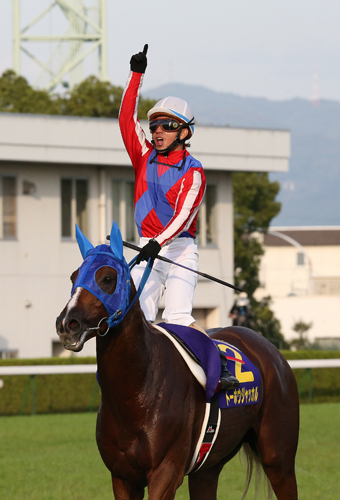 １４年の菊花賞馬トーホウジャッカルも神戸新聞杯３着をステップに本番を制した