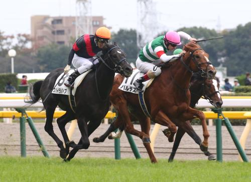 ＜東京５Ｒ新馬戦＞レースを制したバルデス（右・１１番）