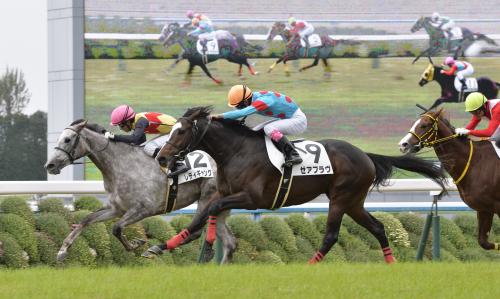 ＜京都６Ｒ・新馬戦＞ハナ差で勝利した藤岡康太騎手騎乗のゼアブラヴ（手前）