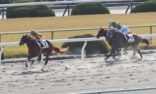 ＜京都新馬戦＞Ｍ・バルザローナを背に２着に大差をつけるラビットラン（左）