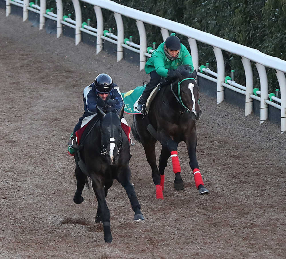 ＜東京新聞杯＞Ｍ・デムーロ騎手を背に追いきるブラックスピネル（左）