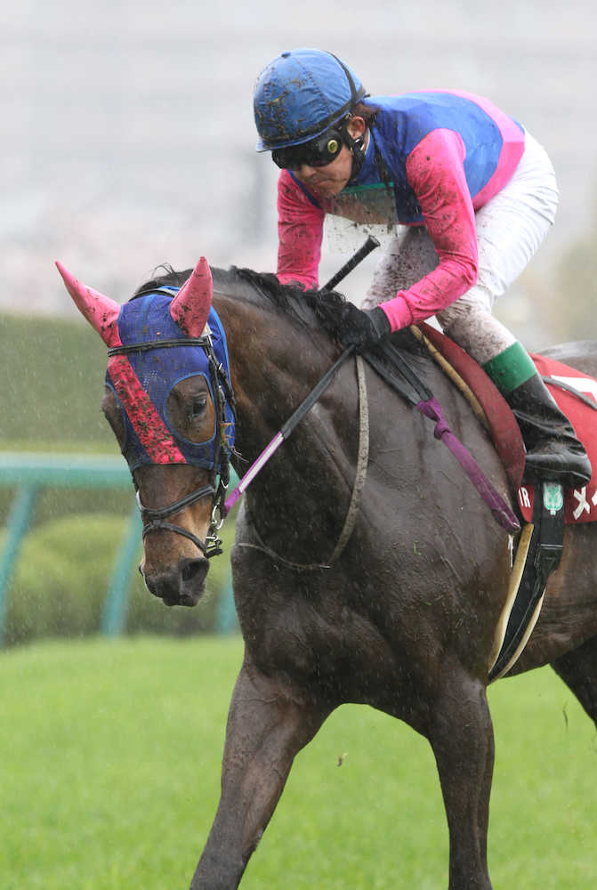 ＜阪神１１Ｒ・阪神牝馬Ｓ＞小牧を背に引退レースに臨んだメイショウマンボ
