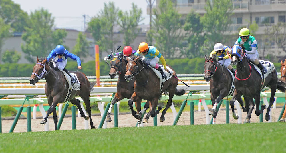 函館５Ｒ新馬戦、ゴール前の直線で他馬を交わして勝ったデルマキセキ（７）