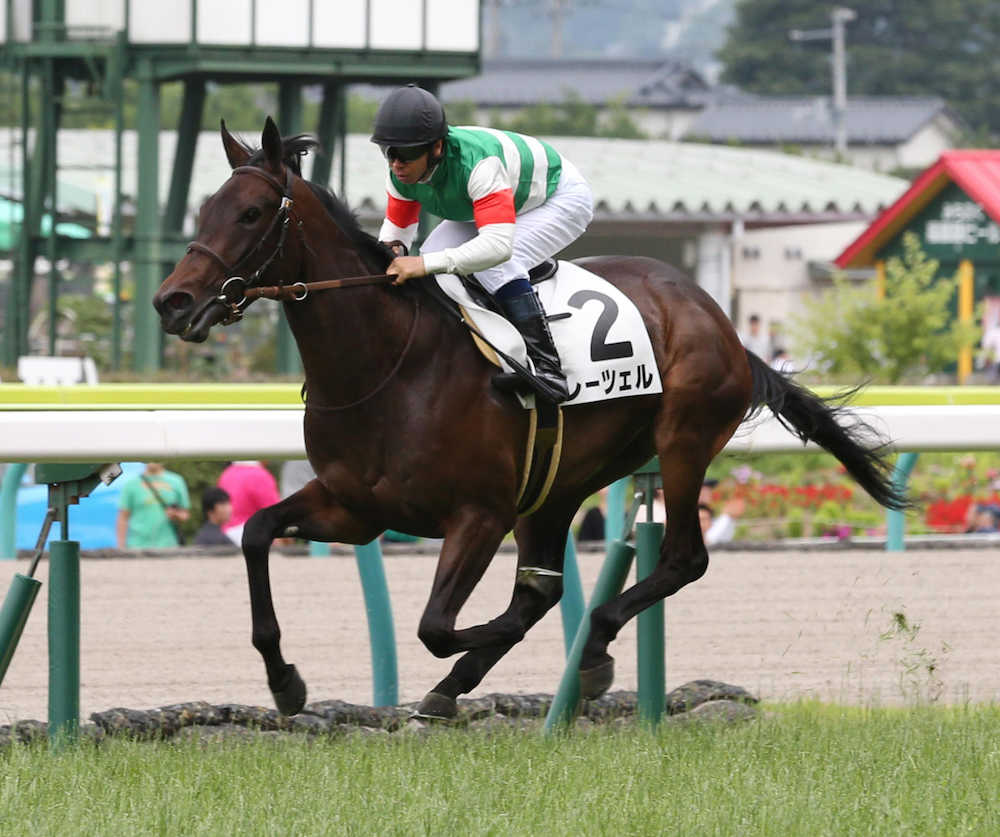 福島５Ｒ新馬戦を制したレーツェル