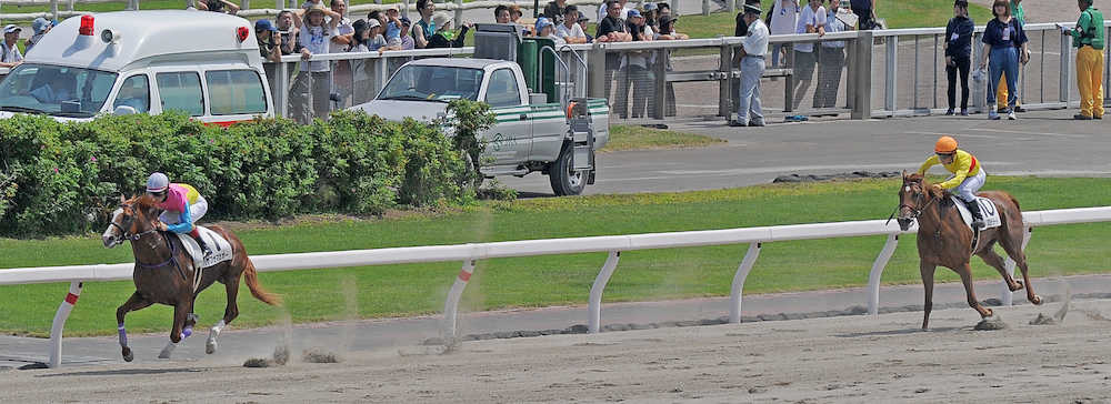 他馬を引き離し余裕で勝ったハヤブサマカオー（左）