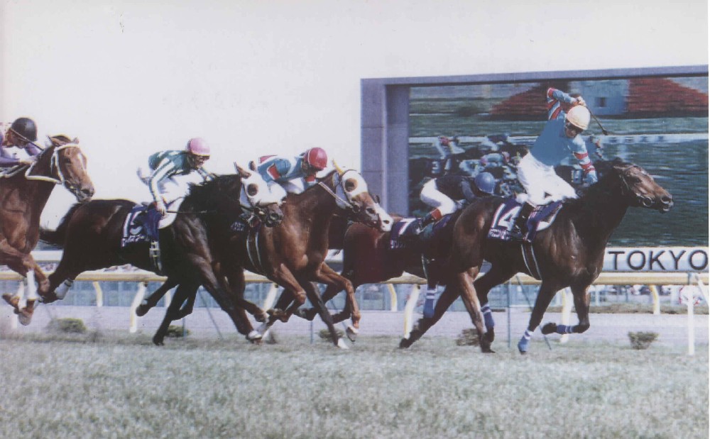 ９３年の安田記念で、１４番人気２着の激走を見せたイクノディクタス（左から３頭目）