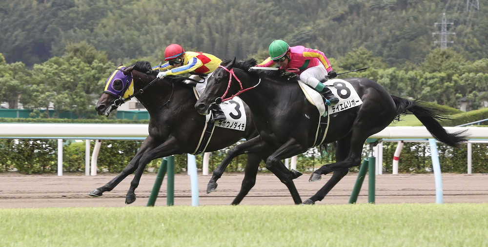 ＜小倉５Ｒ＞新馬戦を勝利したキボウノダイチ（左）