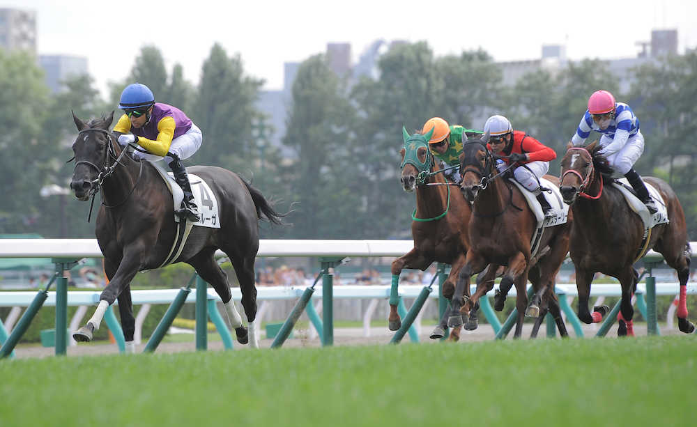 ＜札幌新馬戦＞ゴール前の直線で抜け出して勝ったベルーガ（左）