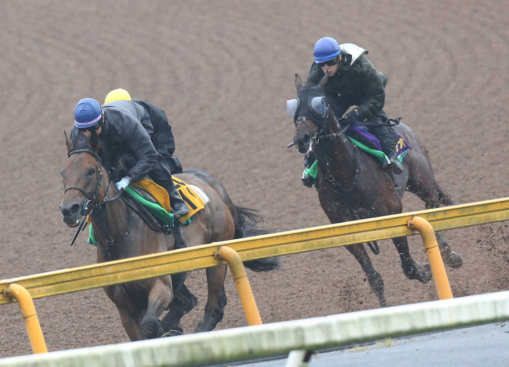 ＜神戸新聞杯２週前追い切り＞前の馬を目標にして追いきるレイデオロ（右）