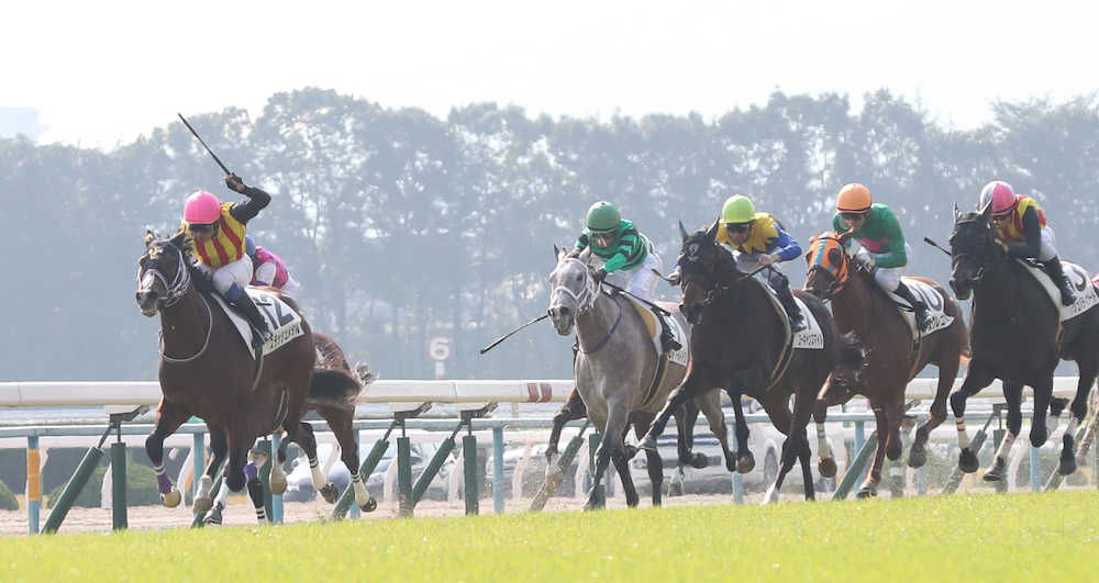 ＜京都５Ｒ新馬戦＞岩田を背に直線で抜け出し、勝利するスラッシュメタル（左）