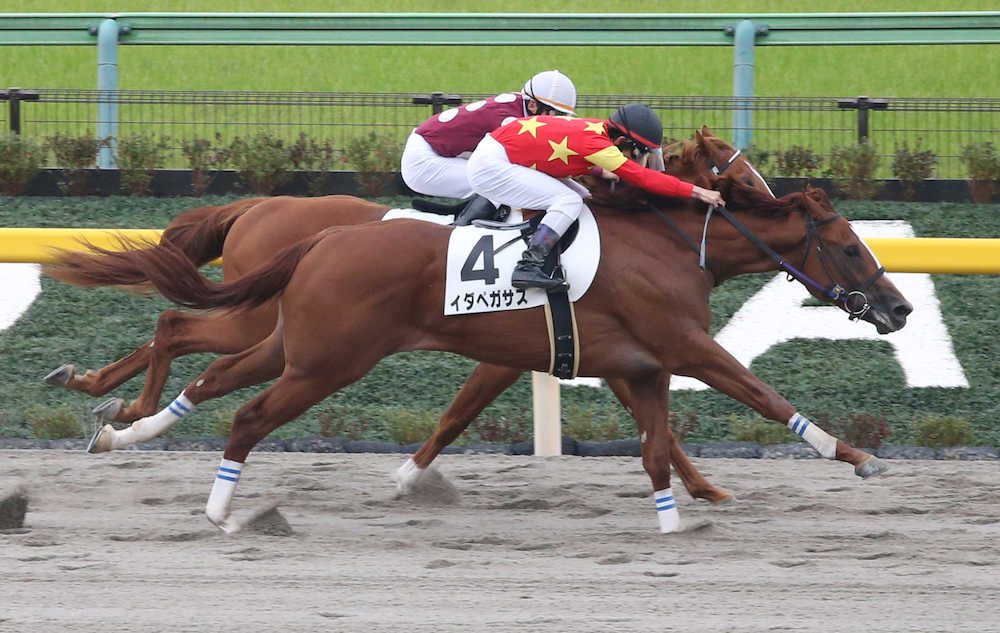 東京４Ｒ新馬戦、戸崎を背にレースを制したイダペガサス（手前）