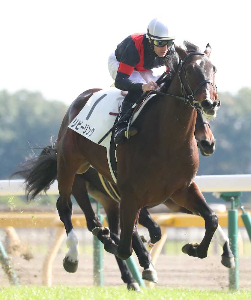 ＜東京４Ｒ＞新馬戦を制したリビーリング