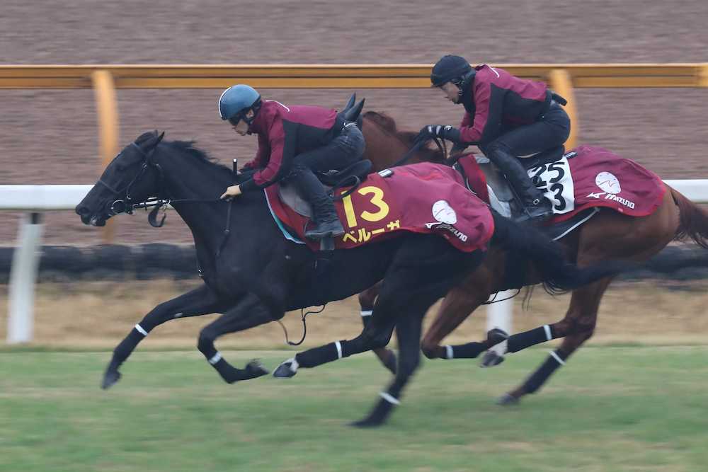 川田が騎乗し、芝コース併せ馬で追い切られたベルーガ（左）。