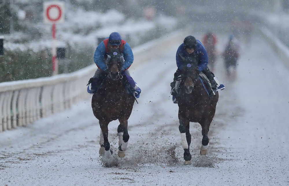 雪が降る中、熱い走りを見せるミッキークイーン（左）