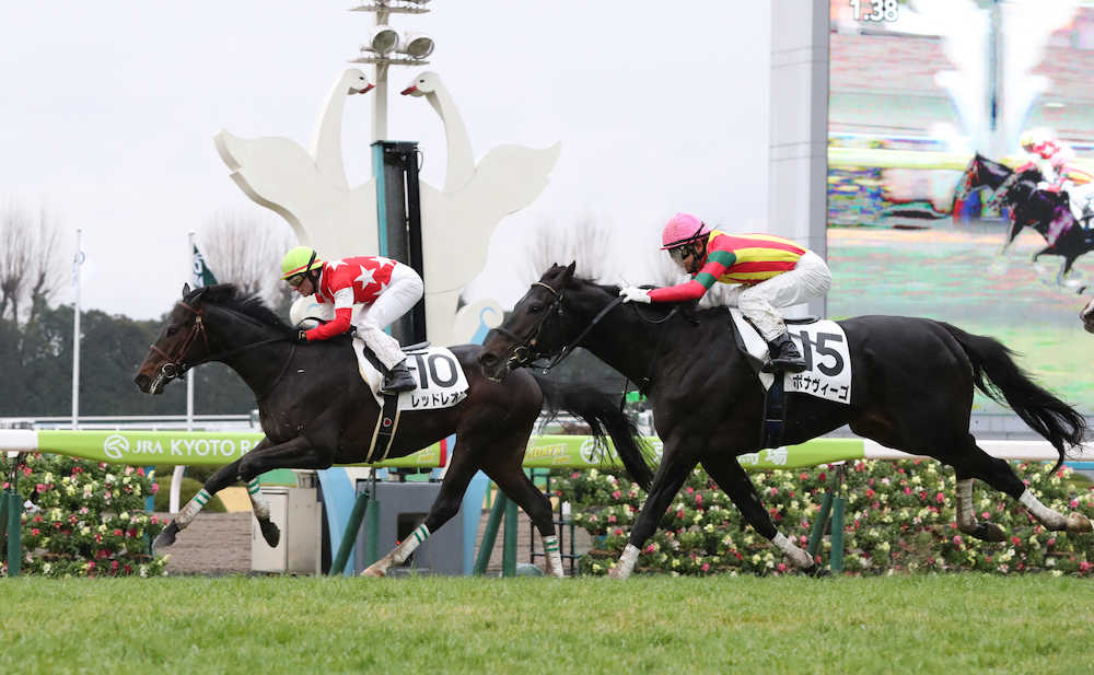 ＜京都６Ｒ新馬戦＞Ｍ・デムーロを背に快勝するレッドレオン（左）