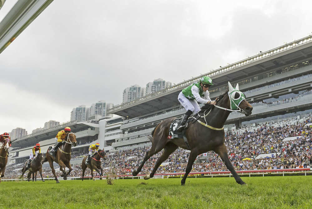 香港競馬のクイーンエリザベス２世カップで優勝したパキスタンスター（右端）