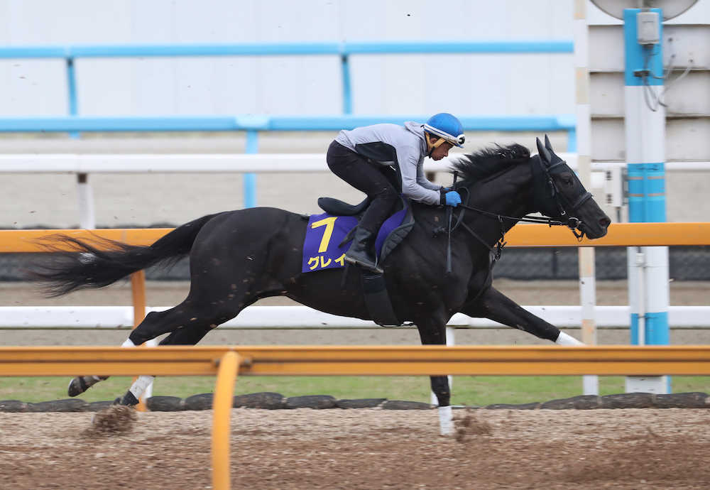 岩田を背にＣＷコースで追い切るグレイル（撮影・平嶋理子）