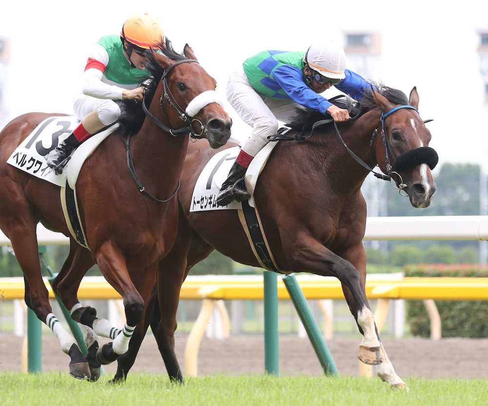 ＜東京５Ｒ新馬戦＞１番人気のベルクワイア（左）との競り合いを制したトーセンギムレット