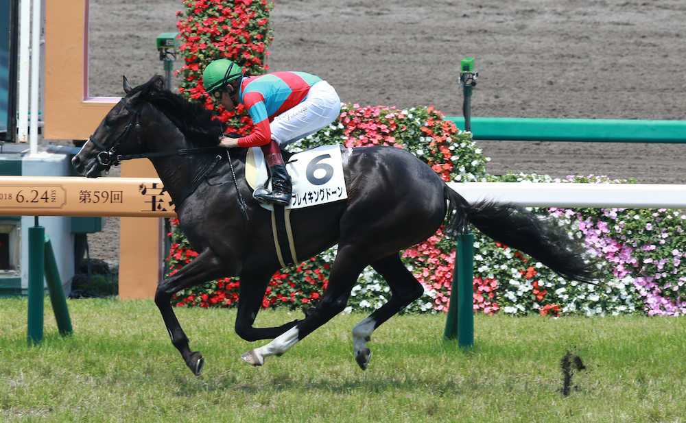 ＜阪神競馬５Ｒ新馬戦＞３馬身差をつけ圧勝したブレイキングドーン（撮影・奥　調）