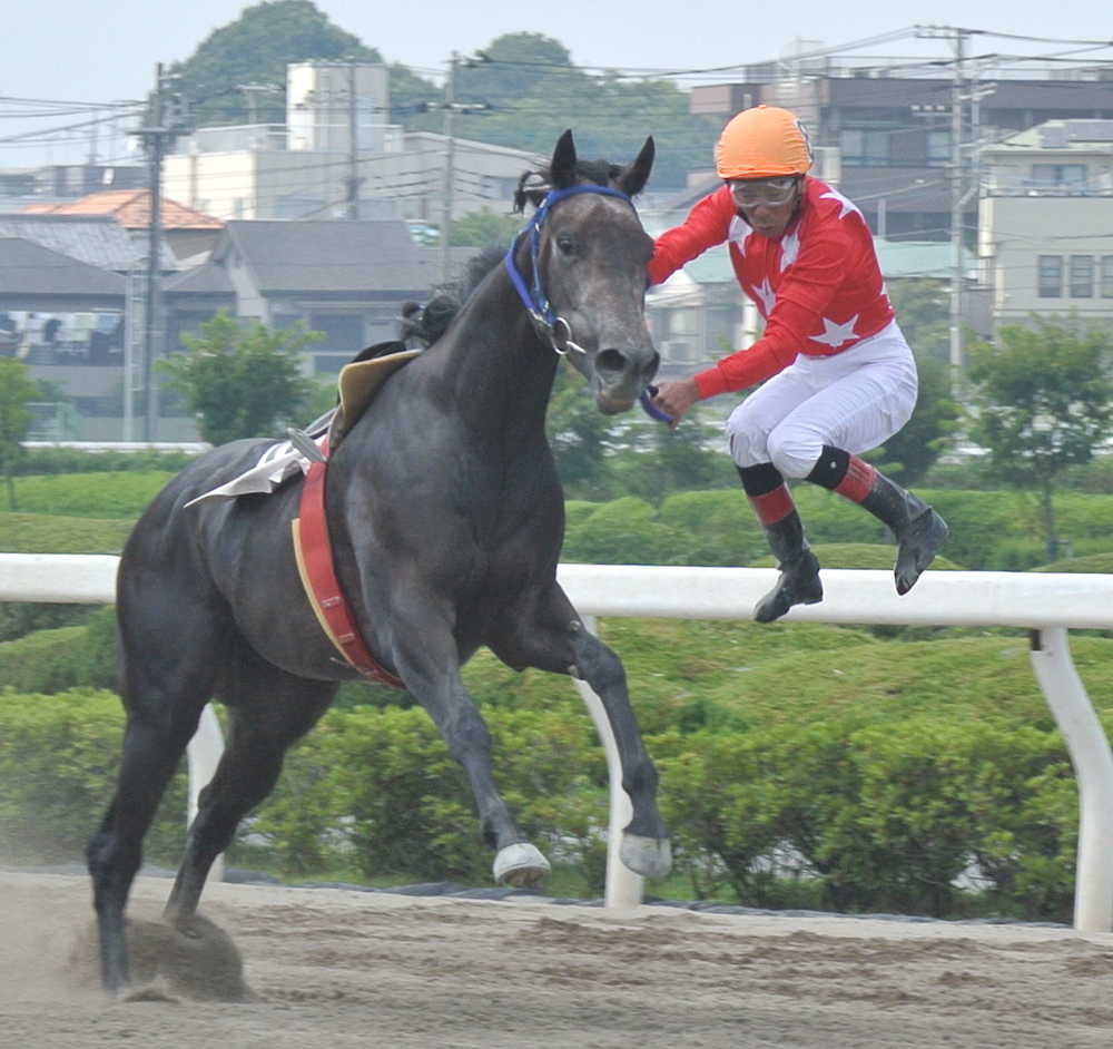 浦和６Ｒでゴール直後落馬のアクシデントがありながらも７１４５勝目を挙げた的場