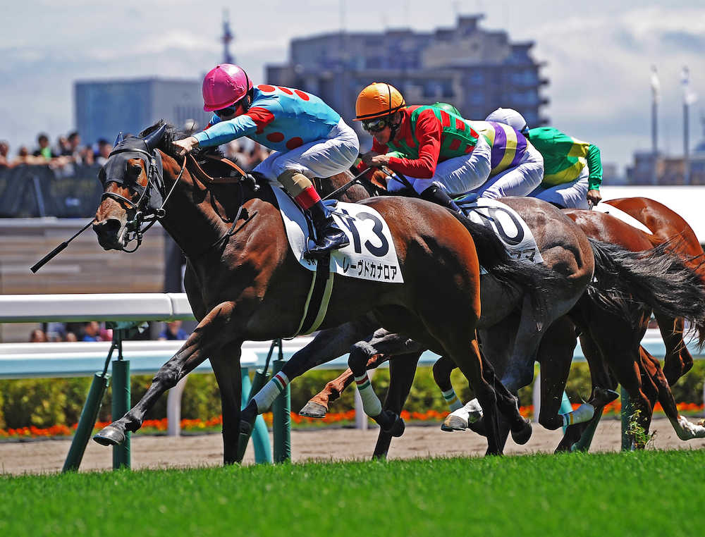 札幌５Ｒ新馬戦、ゴール前の直線で差し切って勝ったレーヴドカナロア（左）
