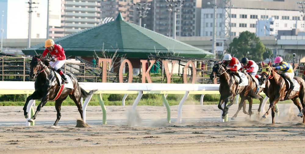 大井６Ｒでキセキノオクリモノに騎乗し１着でゴールする的場（左）。地方競馬勝利日本タイ記録に王手をかけた（撮影・久冨木　修）