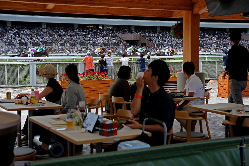 札幌競馬場に新設された「ターフパーク」指定席の４人掛けテラステーブルからレースを生観戦