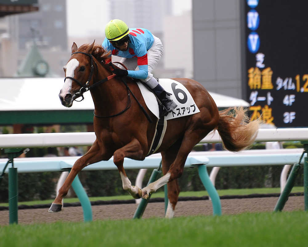 札幌５Ｒ新馬戦、ゴール前で後ろを振り返る余裕を見せてゴールした藤岡佑騎手のトスアップ