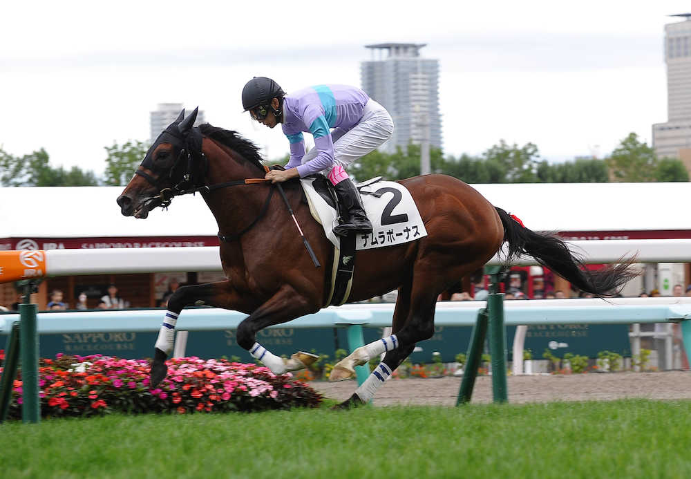 札幌５Ｒ新馬戦を勝利で飾ったナムラボーナス　