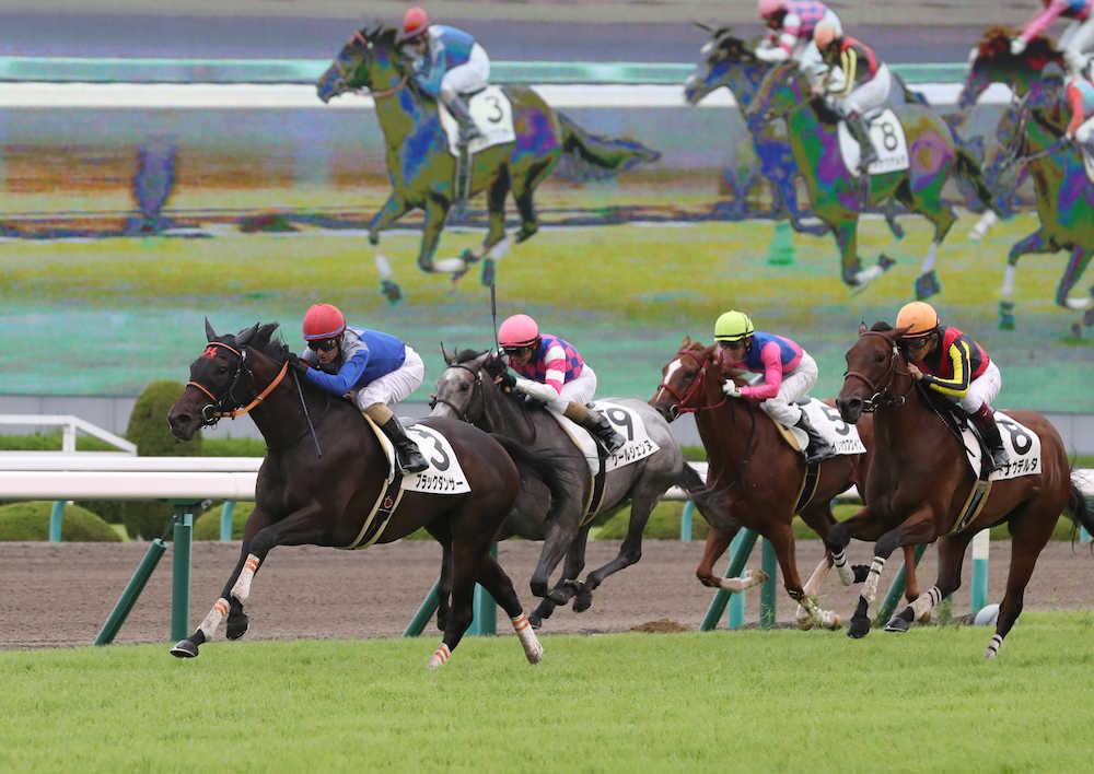 ＜阪神６Ｒ＞馬群から抜けだし、新馬戦を快勝したブラックダンサー（左）（撮影・平嶋　理子）　　