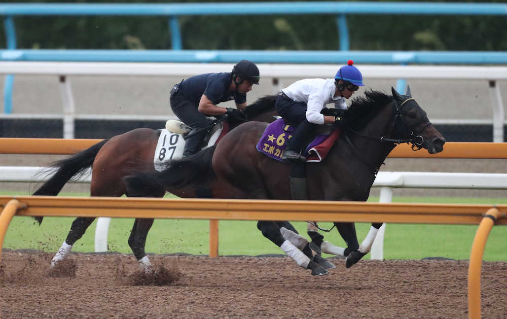 戸崎圭太騎手を背にＣＷで併せ馬で追い切りするエポカドーロ（手前）