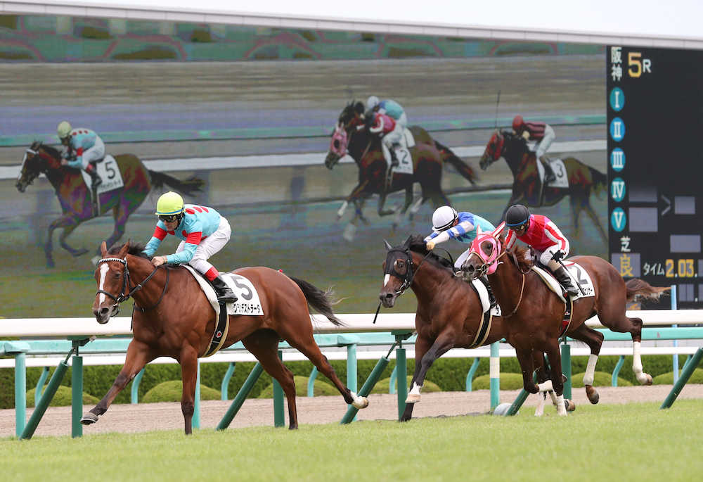＜阪神５Ｒ＞直線で抜け出し、新馬戦を快勝するグランデストラーダ（左）（撮影・平嶋　理子）