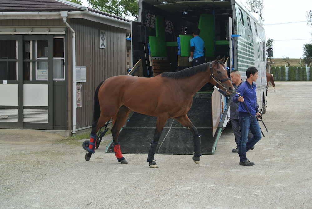 京都競馬場に到着したアーモンドアイ。馬運車から降りると落ち着いた様子で馬房へと向かった