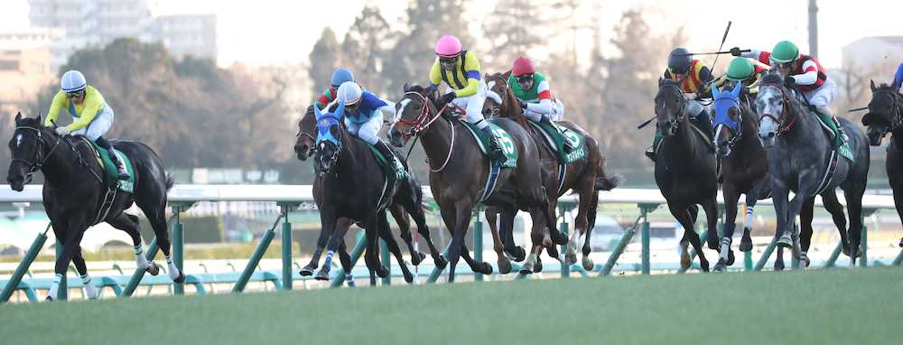 【画像・写真】【中山金杯】２着フーリッシュ、無念の半馬身差　