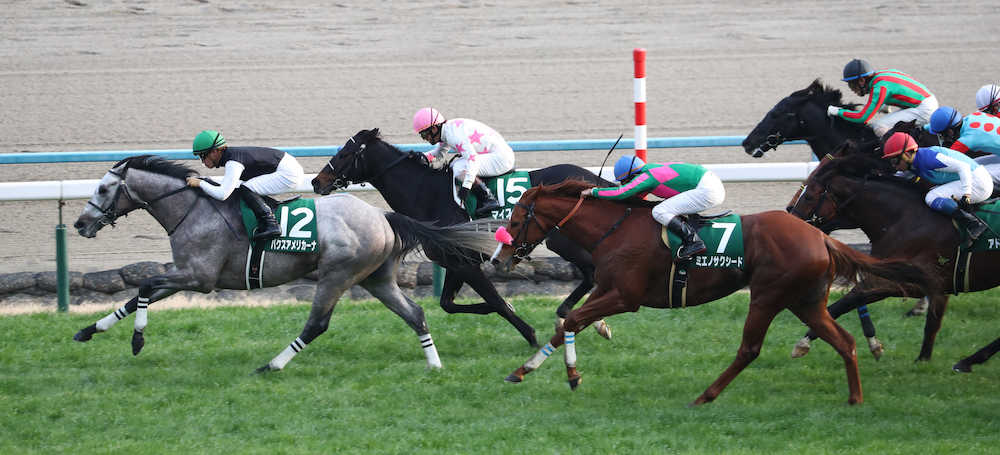 【画像・写真】【京都金杯】マイスタイル２着、久々マイルも外から粘りこみ