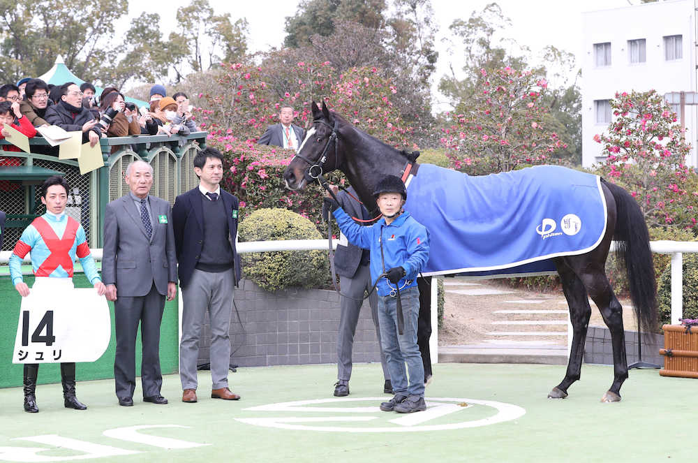 【画像・写真】【京都新馬戦】１番人気シュリ、最後にかわして初陣Ｖ