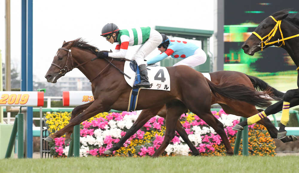 【画像・写真】【中山新馬戦】ザダル、淡々逃げで後続馬封じ新馬Ｖ