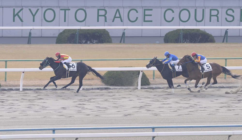 【画像・写真】【京都新馬戦】パール押し切る　ミルコはスピード高評価